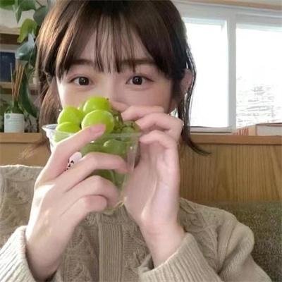 木棉花的春天